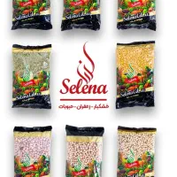 بازاریاب/ ویزیتور با حقوق بالا