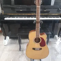 گیتار آکوستیک 12 سیم