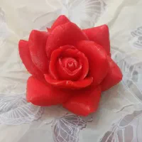 قالب سیلیکونی