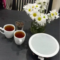 اسپیکرسقفی باندبلوتوثی اسپیکر بلوتوثی سیستم صوتی|سیستم صوتی خانگی|تهران, شهرک کوهسار|دیوار
