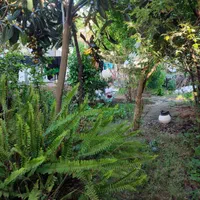 فروش باغ و ویلا کلنگی به متراژ ۳۳۵متردارای سند|فروش زمین و ملک کلنگی|دابودشت, |دیوار