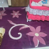 فرش ۴متری و ۶متری|فرش|شیراز, شهرک ولیعصر|دیوار