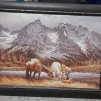 قاب عکس شیک