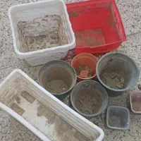 نه عدد گلدان پلاستیکی یک عدد سرامیک حوض ماهی