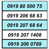 0919.312.0085|سیم‌کارت|رباط‌کریم, رباط‌کریم|دیوار