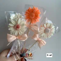 گیفت شمع بابونه