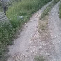 باغ گیلاس|فروش دفتر صنعتی، کشاورزی، تجاری|مریوان, |دیوار