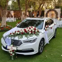 اجاره ماشین عروس ، رنت ، کرایه خودرو|خودرو اجارهای|همدان, |دیوار