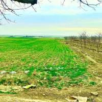 زمین های سند دار شاهنامه گوارشک حسن آباد نقدقسط|فروش زمین و ملک کلنگی|مشهد, جاهد شهر|دیوار