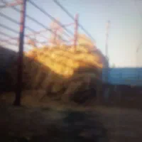 کاه جو بعلاوه یونجه وعلف،فروشی|عمده‌فروشی|نوشین شهر, |دیوار