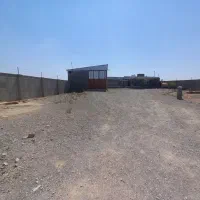 دامداری ۲۵۰ راسی