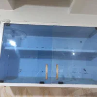 فروش چند قلم کابینت آشپزخانه بدلیل تغییر دکور|آب‌چکان و نظم‌دهنده ظروف|بوکان, |دیوار