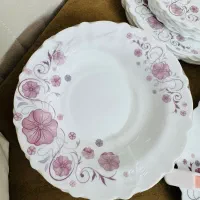 ارکوپال نو داخل کارتن|ظروف سرو و پذیرایی|پاکدشت, پاکدشت (مامازند)|دیوار