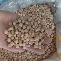 انواع محصولات کیشی پور