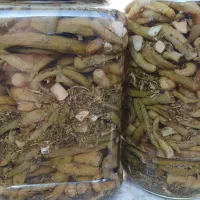 عرضه انواع سبزیجات.ترشیجات .کاملا بهداشتی، خانگی|خوردنی و آشامیدنی|رشت, خرسندی|دیوار