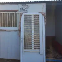 کانکس اتاق