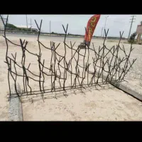 حفاظ شاخ گوزنی