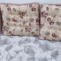 مخطع سالم وشیک