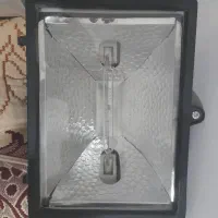 کفتر
