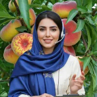 فروش تضمینی انواع نهال اقای نهال