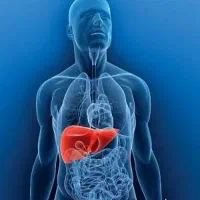 زندگی دوباره