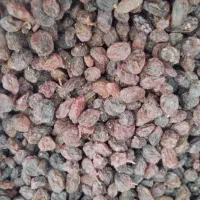 خرید و فروش کشمش آفتابی