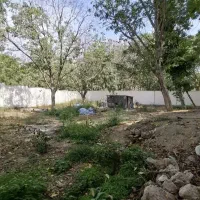 باغ-دور-دیوار-سند-دار