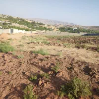 فروش زمین ۵۰۰ متری در روستای ده شیخ|فروش زمین و ملک کلنگی|شیراز, شهرک امیر کبیر|دیوار