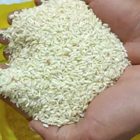 برنج عنبربو درجه یک صفر بوجاری