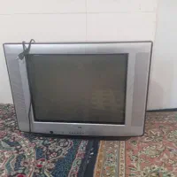 تلویزیون