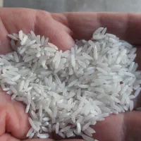 برنج پاکستانی