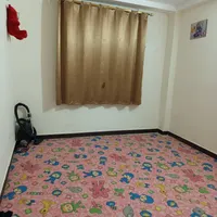 موکت عروسکی|موکت|پرند, |دیوار