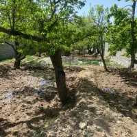 450متری-در-بهترین-لوکیشن-ملارد-سندتکبرگ