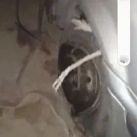 ماشین سمند|خودرو سواری و وانت|نرماشیر, |دیوار