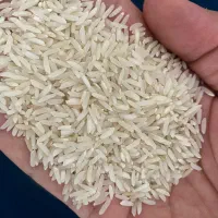 برنج طارم هاشمی