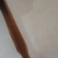 مو ..