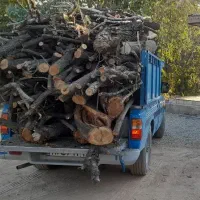 برشکاری و خرید درخت و چوب های شما