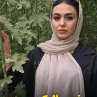 گلخانه و برترین خط تولید نهال در غرب کشور