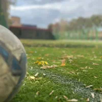 سالن و چمن ورزشی|اجارهٔ کوتاه‌مدت دفتر کار و فضای آموزشی|تبریز, |دیوار