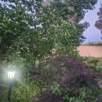 ۹۰۰ متر باغ ویلا ۱۳۰ متر بنا کوهسار کردان
