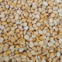 لپه محلی به شرط