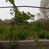 فروش باغ|فروش خانه و ویلا|خرمدره, |دیوار