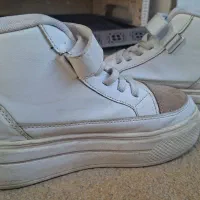 کفش نو|کیف، کفش، کمربند|ماکو, |دیوار