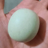 سنگ آسیاب الماس