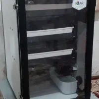 دستگاه جوجه کشی اسکندری|حیوانات مزرعه|گوراب زرمیخ, |دیوار