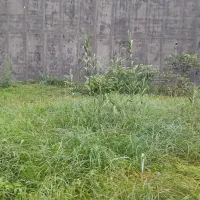 اجاره خونه دو واحده در فرجام