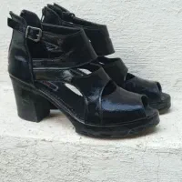 کفش|کیف، کفش، کمربند|جوانرود, |دیوار