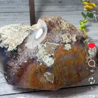 راف کلکسیونی پولیش شده