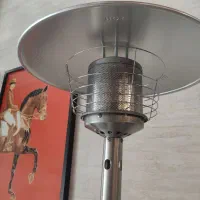 بخاری قارچی