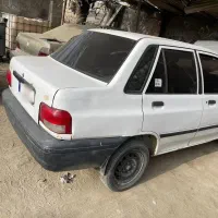 شاستی پلم بدون رنگ